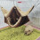 Small Pets Hammock Hanging Beds Hamster Cage Small-Dark Brown L 6