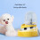 Pet Automatic Feeder +Waterer Cats-Gray Bear Stainless 4