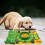 Jouets reniflants pour chiens, jouet de distribution de 4