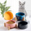 Bols surélevés pour chats et petits chiens, plat-Bleu 3