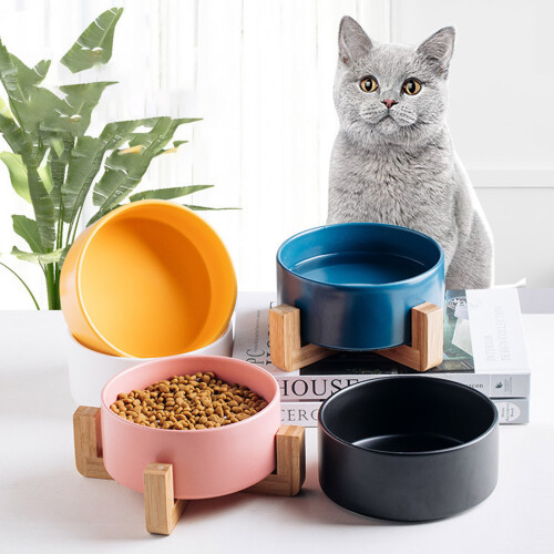 Bols surélevés pour chats et petits chiens, plat-Bleu 2