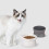 Bols surélevés pour chats, petits chiens, plats-Blanc 4