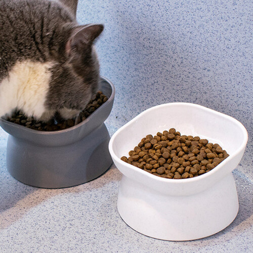 Bols surélevés pour chats, petits chiens, plats-Blanc 2