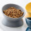 Bols surélevés pour chats et petits chiens, plat-Bleu 7