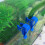 Hose Holders Durable Water Pipe Tube Clamp Plastic Fixed-Blue 4