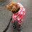Bottes pour chiens chaussures réglables imperméables semelles-S 3