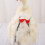 Adjustable Chicken Diaper for Pet Duck/Goose/for-cat M 5