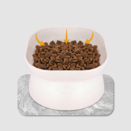 Bols surélevés pour chats, petits chiens, plats-Blanc 1