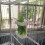 Bird Snack Holder Plastic Cuttlebone/Fruit Basket Feeder Toy to 7