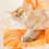 Hondenbed Comfortabel rond knuffeldier Warm bed- M 3