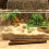 Artificial Aquatic Plants Aquarium Décor Plastic Plant Coconut 5