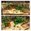 Artificial Aquatic Plants Aquarium Décor Plastic Plant Coconut 6