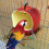 Parakeet Food Dispenser No Mess Parrot Plastic Feeder with-2 6