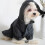 Jacket Dog Coat for Medium Large Dogs Reflective Jacket-XL 6