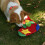 Tapis d'alimentation pour animaux de compagnie, élément de-B 5