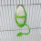 Cage Basket Parrot Feeder Plastic Hanging Food Container Bird-A 6