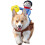 Costume d'équitation pour animaux de compagnie, Cowboy, 4