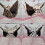 Cute Guinea Pig Hamster Hanging Hammock Warm Bed Soft Mat-2 6