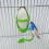 Pet Bird Fruit Vegetable Holder Plastic Hanging Food-A 2
