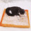Coussin Portable pour animaux de compagnie, imprimé d'œufs-4 3