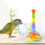 Ensemble de jouets d'entraînement pour oiseaux, 4 types, 7