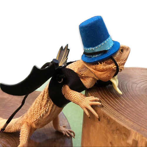 Adjustable Lizard Leash and Harness Soft-OE Hat + bow tie 2