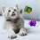 14 Pcs Crackle Lightweight Safe Interactive Fun for Play Toys 2
