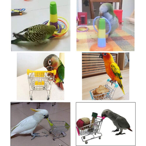 Ensemble de jouets d'entraînement pour oiseaux, 4 types, 2