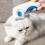 Electric Lice Comb for Pets, ABS Material, Battery Operated 6