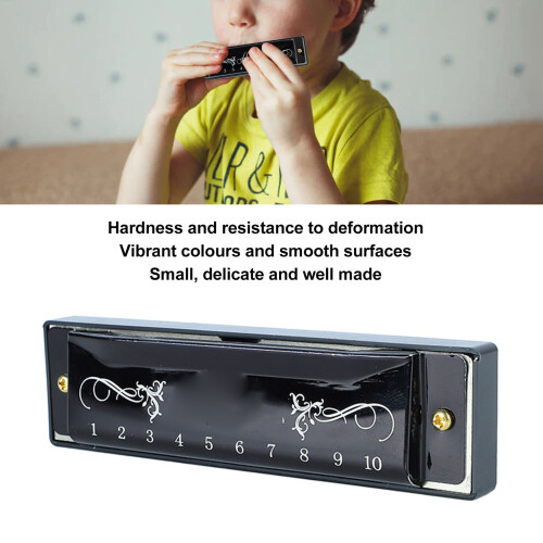 10 Hole 20 Tone C Key Harmonica with Case for Beginners Black Titanium 2
