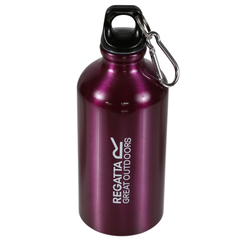 Regatta (One Size, Azalia) Aluminium Bottle Light