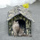 Feline Fortress, Αδιάβροχο Μεγάλο Εξωτερικό Σπίτι Γάτας για τον Χειμώνα, Εύκολη 2