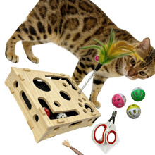 Interaktives Katzen-Enrichment-Box-Spielzeug mit-Holzfarbe