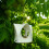 Small Birds feeder-Green 4