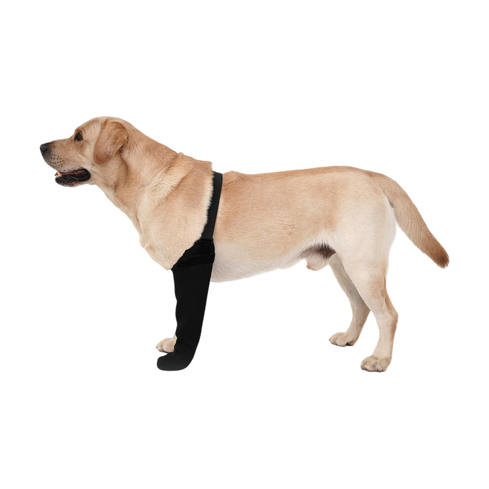 Black 1Pc Dog Socks To Prevent Licking Paws Dog-Xl Left Leg