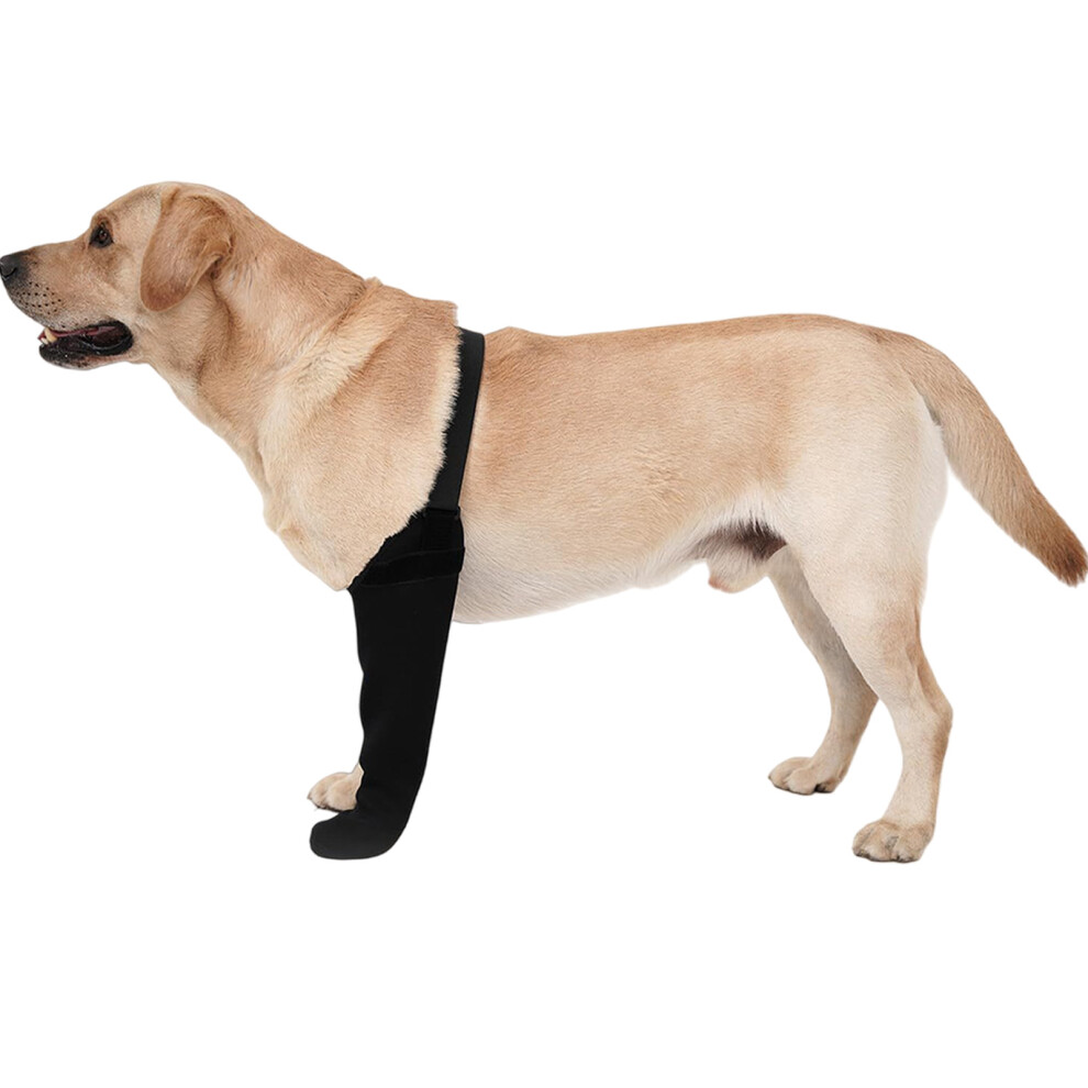Black Dog Socks To Prevent Licking Paws,Healings-4Xl Left Leg