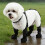 Antislip Pet Boot Adjustable Waterproof Reflective Dog-XS 5