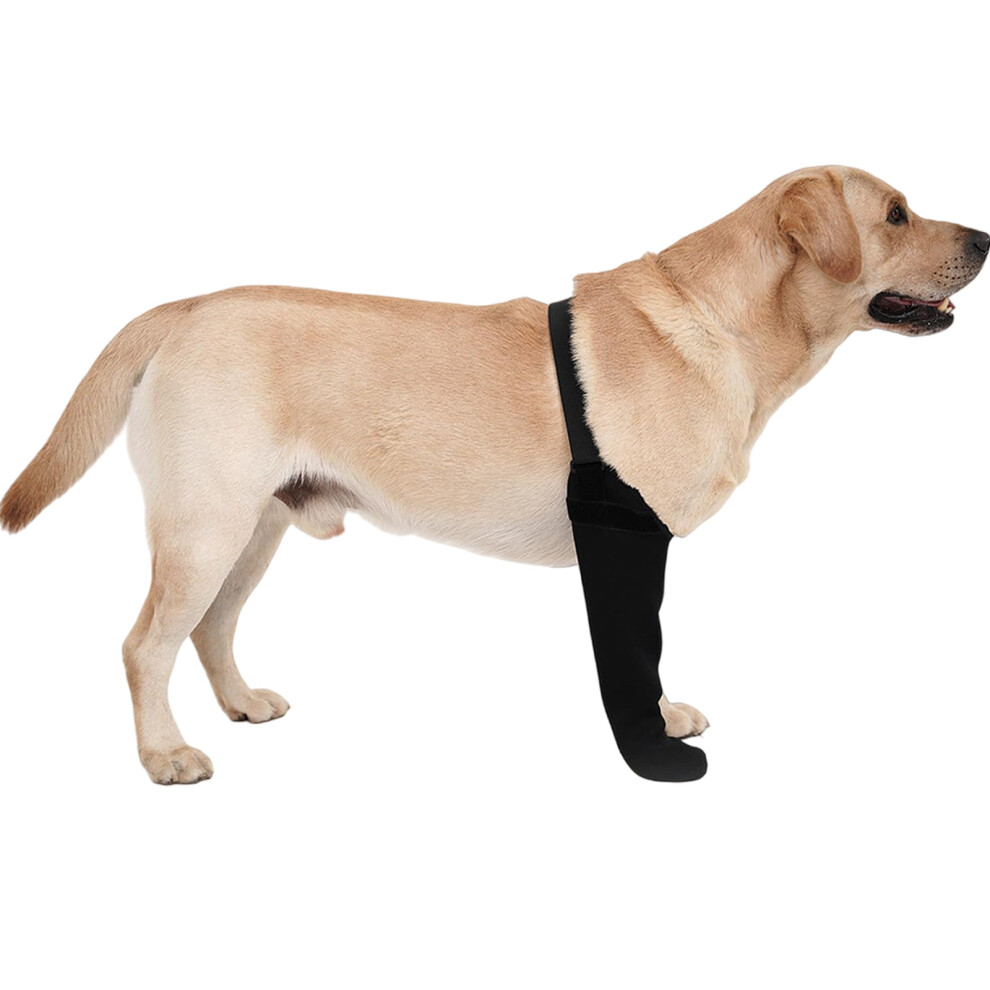 Black Dog Socks To Prevent Licking Paws,Healings-4Xl Right Leg