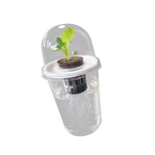 Hydrocultuur Zaailing Plantenbakken Transparantie-1 setje