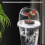 Plastic Plant Protective Moisture Insect Bird Season-10 sets 6