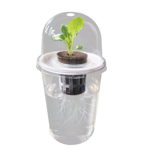 Pots de plantation hydroponiques pour semis,-10 ensembles 1