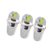 Transparency Hydroponic Seedling Starter Aerating-3 sets