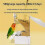 Mangeoire automatique pour oiseaux accrochant la conception-2 3