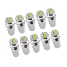 Hydrocultuur Groeiende plantcontainer Hydrocultuur-10 sets