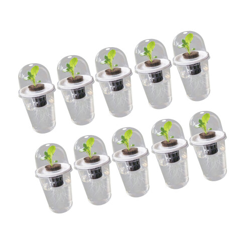 Plastic Plant Protective Moisture Insect Bird Season-10 sets
