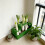 Easy to Use Hydroponic Chives Regenerates Planter for Indoor 5