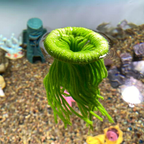 Breeding Tool for Medaka Fish with Artificial Sea Grass-Purple 2