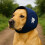 Cache-oreilles de natation pour animaux de compagnie, pour-Bleu 4