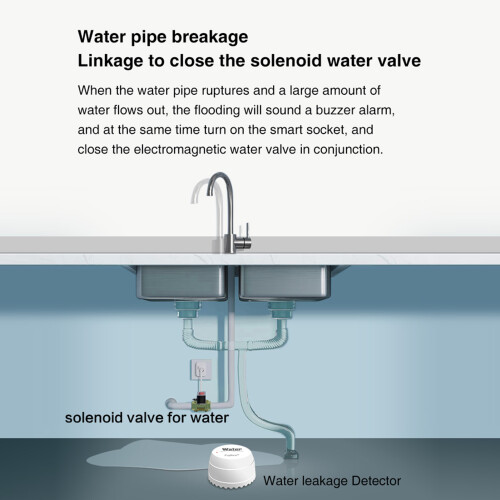 Smart Water Leak Detector | Wireless Flood Sensor with App Notifications, White 1