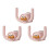 3Pieces Bathroom Wall Hook for Extra Storage Space In-PK 1